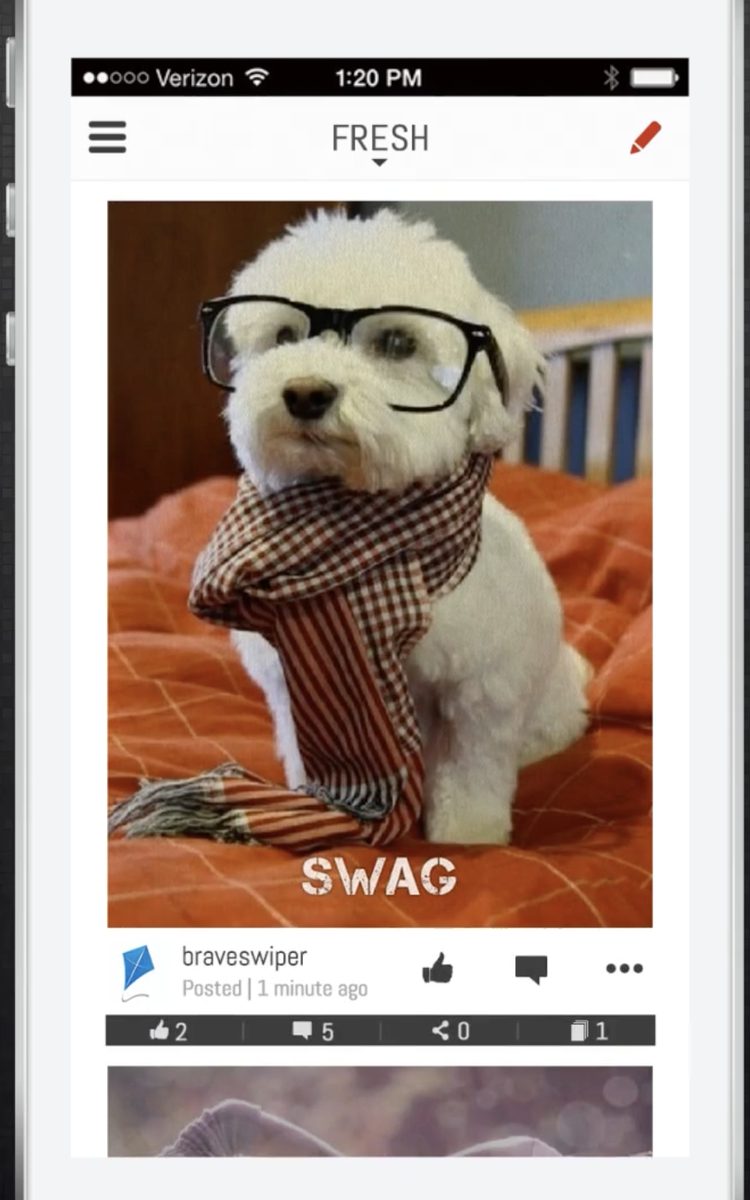 A quip of a dog in glasses and a scarf, captioned SWAG